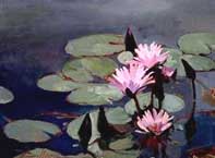 Water Lilies I